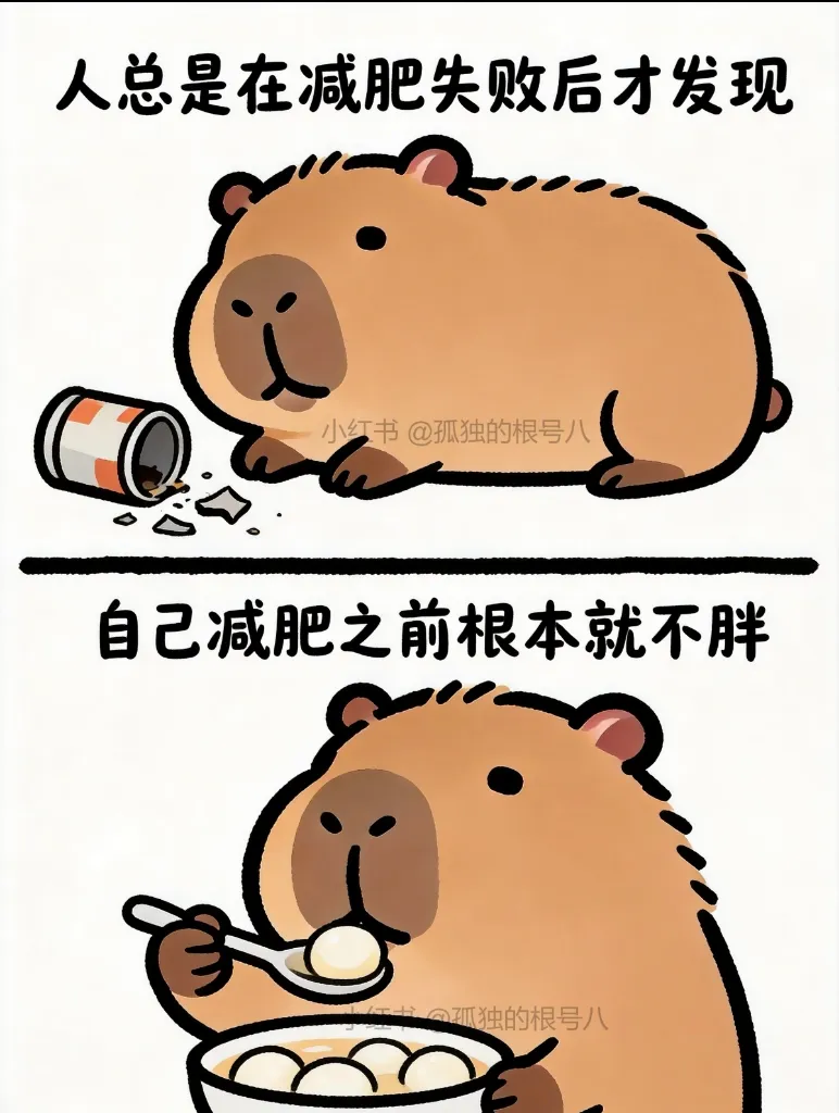 qiju